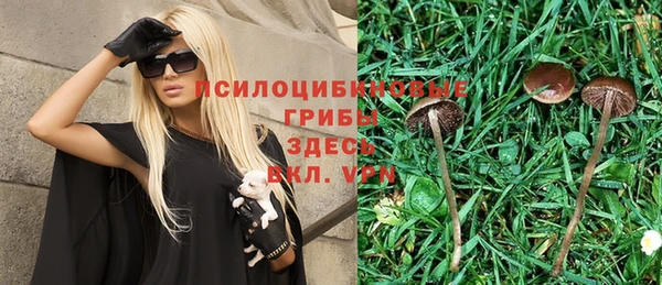 Альфа ПВП Абаза