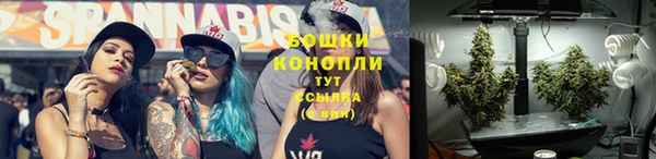 гидра Кулебаки