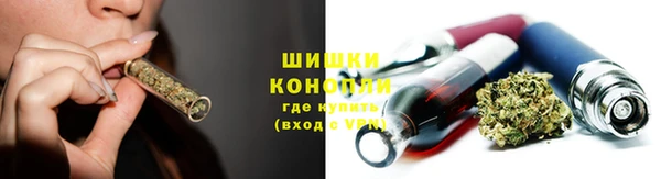 ПСИЛОЦИБИНОВЫЕ ГРИБЫ Абдулино