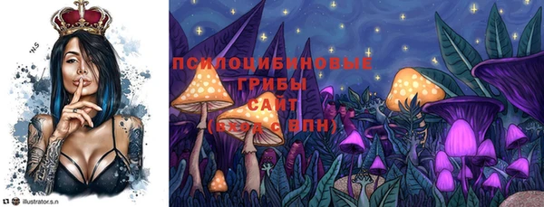 стафф Алексин